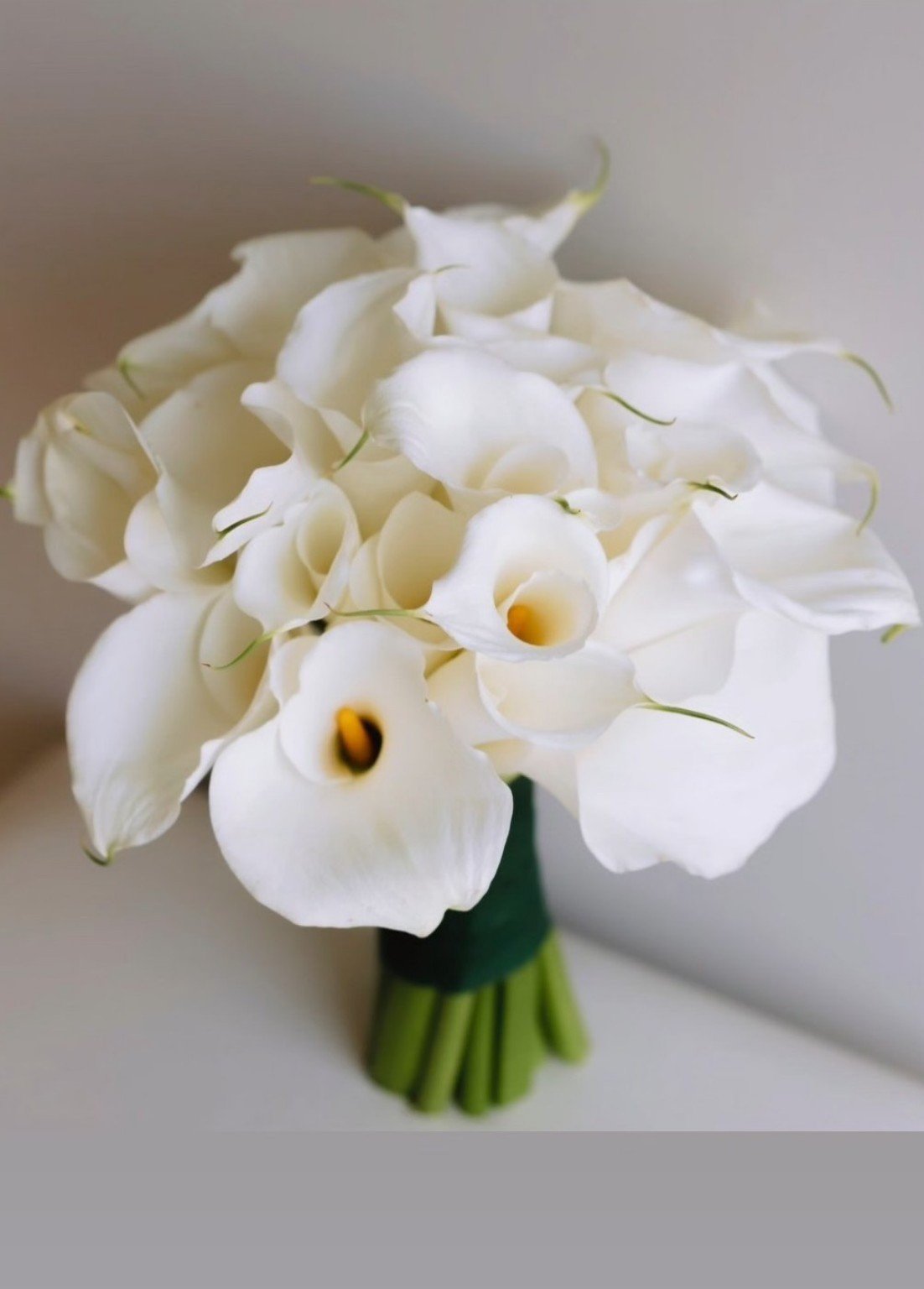Buquê de noiva modelo Alba - Efeito Bouquet BH